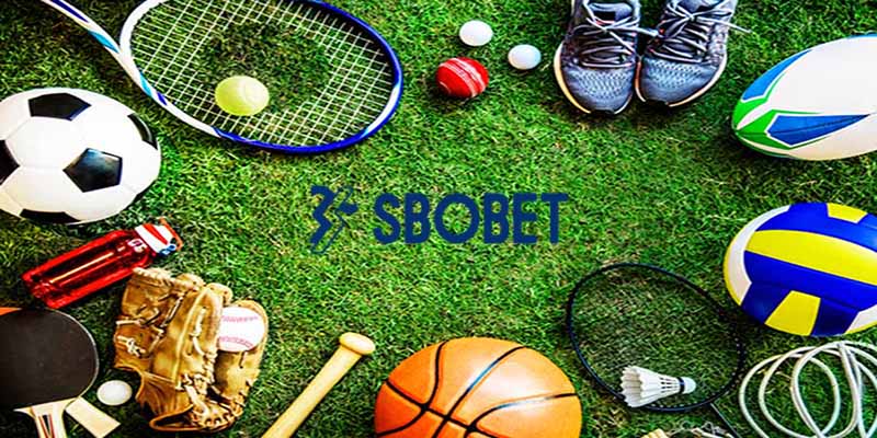 Các loại hình thể thao phổ biến trên Sbobet